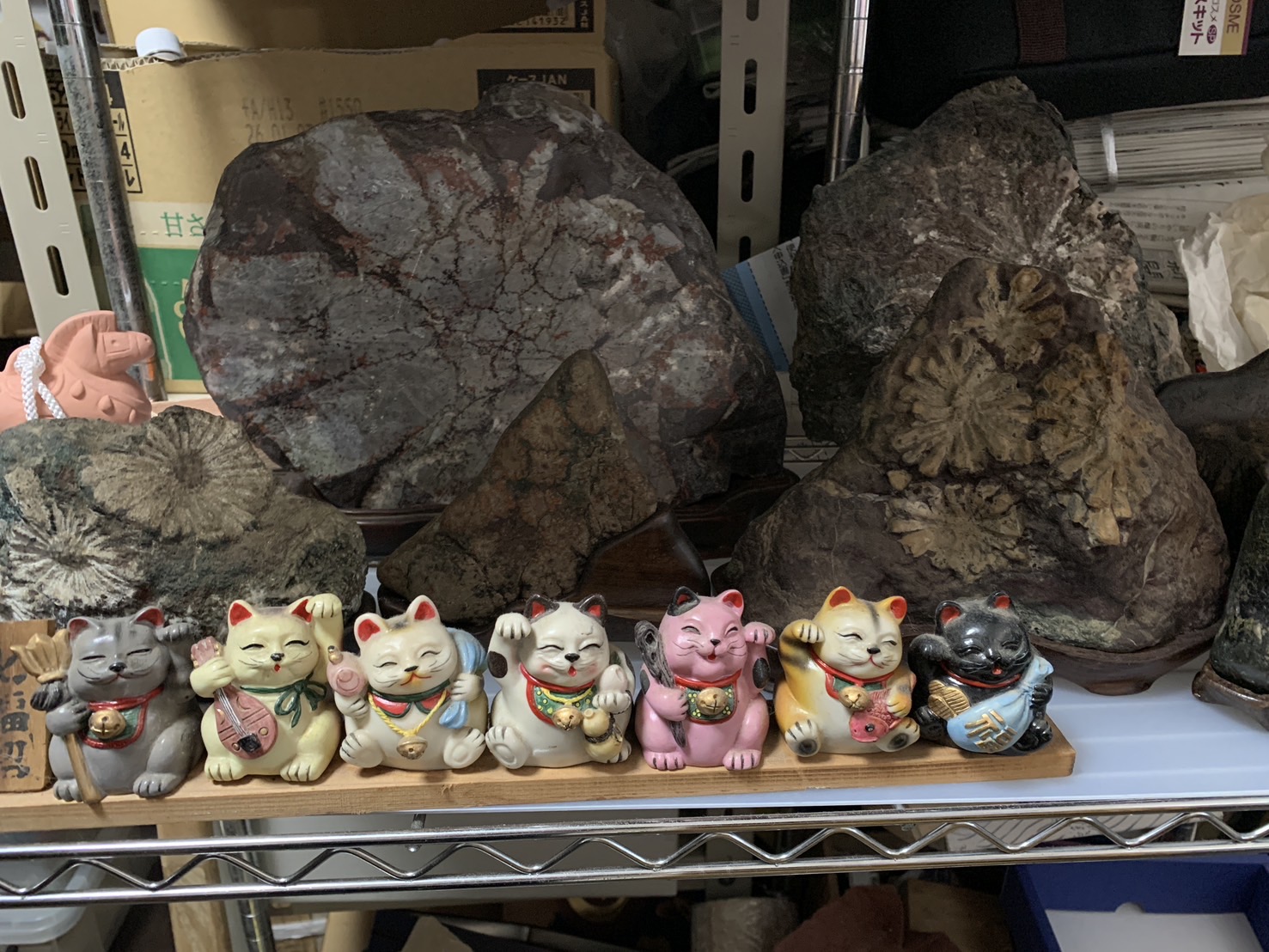 化石標本と複数の招き猫の買取品